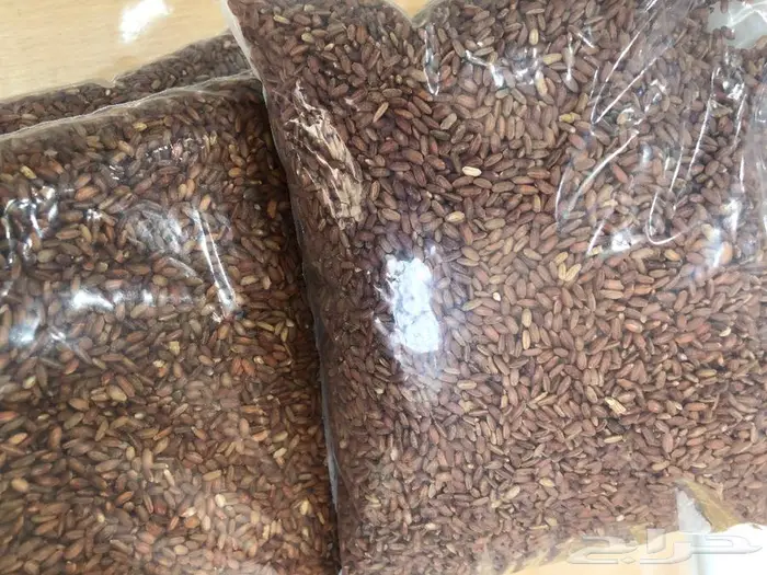 عرض رز حساوي ممتاز درجة أوله 25ريال للكيلو 1