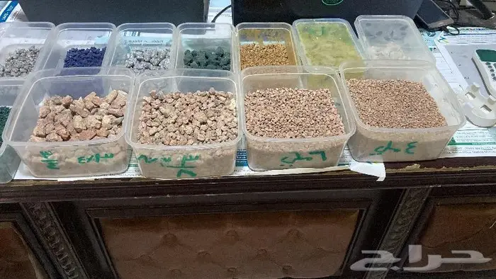 بطحا حايل 0