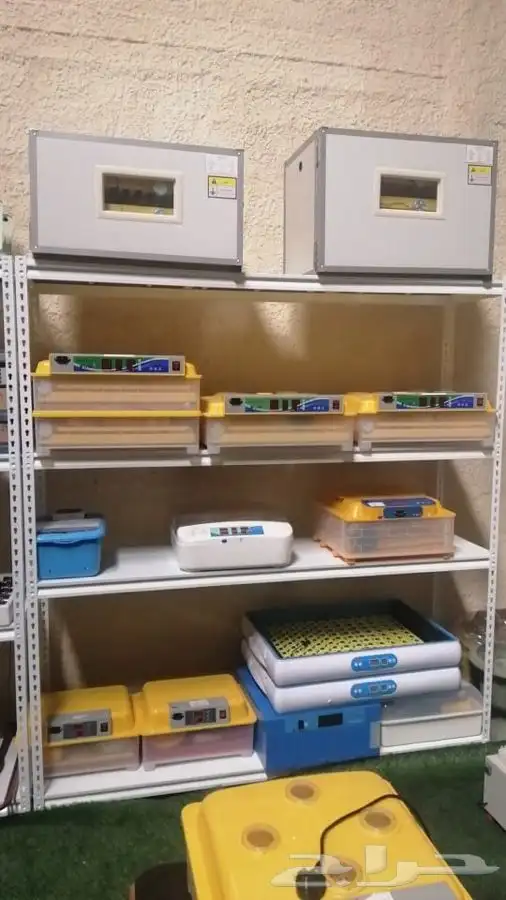 فقاسة  98مع هدايا وضمان شحن مجانيه 1