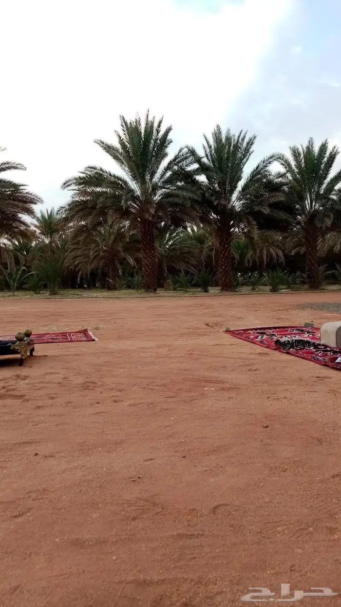 أستراحه سكن بيت شاليه 7