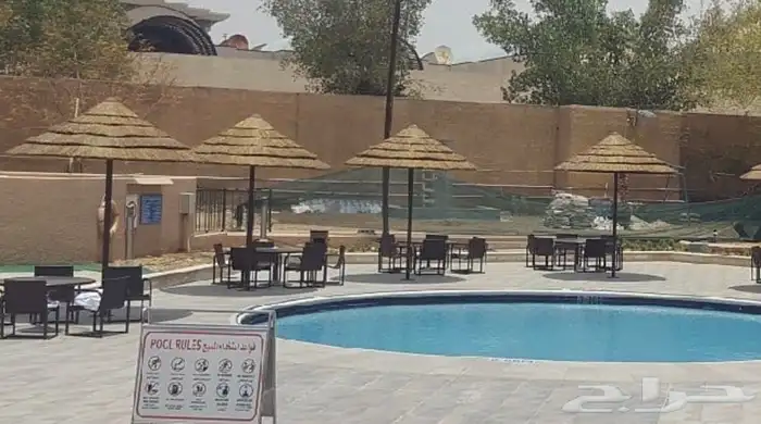 عرائش افريقي بامبو افريقي واندنوسي وخيزران 31