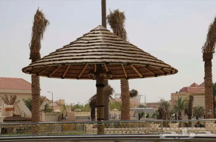 عرائش افريقي بامبو افريقي واندنوسي وخيزران 25