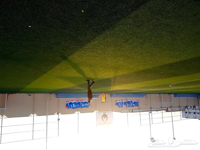 فنان بورتريه وجداريات 5