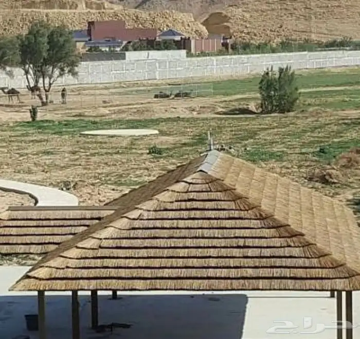 عرائش افريقي بامبو افريقي واندنوسي وخيزران 35