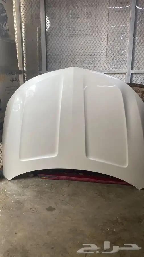 كبوت امبالا 2018 5