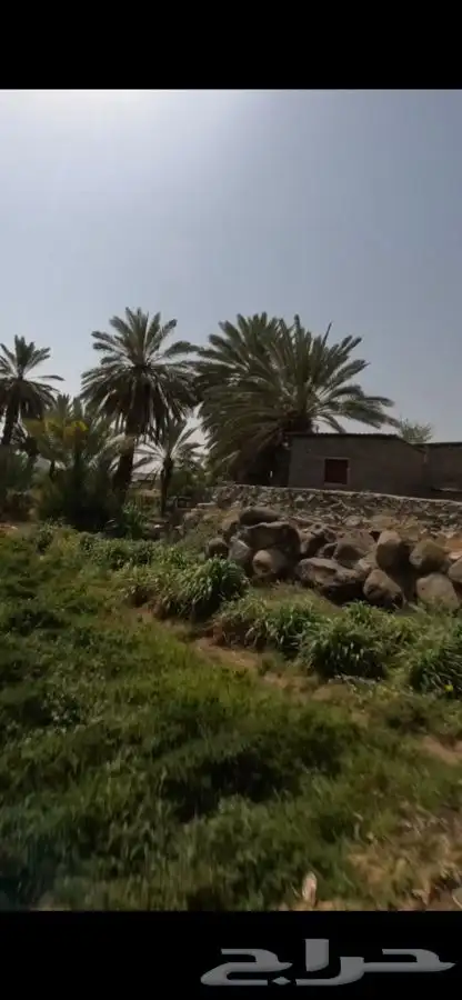 تصوير 360 تصوير درون تصوير مع مونتاج تصوير اعمال تصوير خاص 7