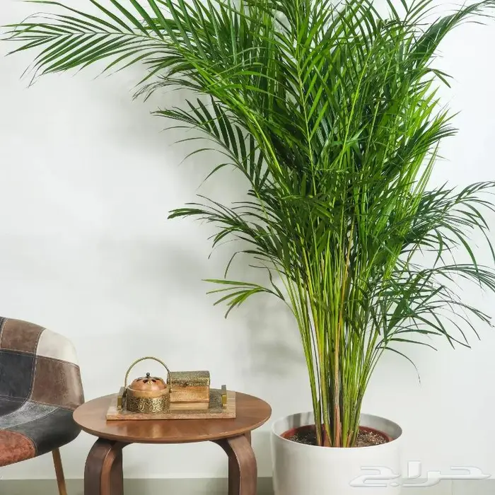 تصوير منتجات وتصوير فوتوغرافي احترافي 78