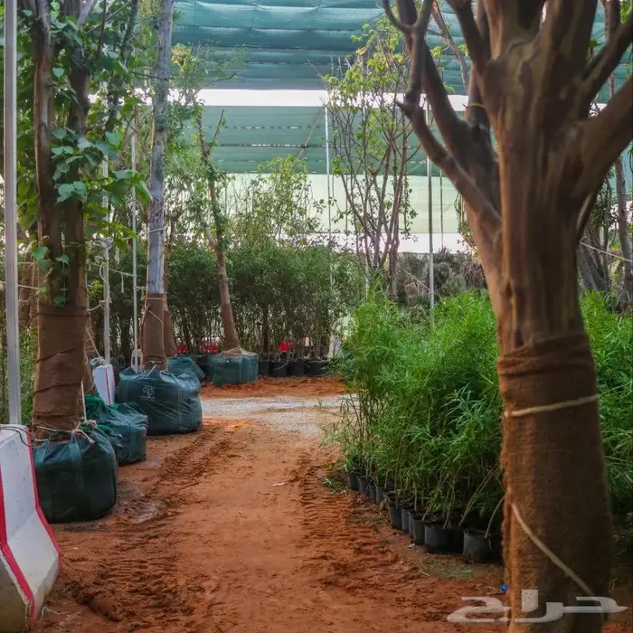 تصوير منتجات وتصوير فوتوغرافي احترافي 91