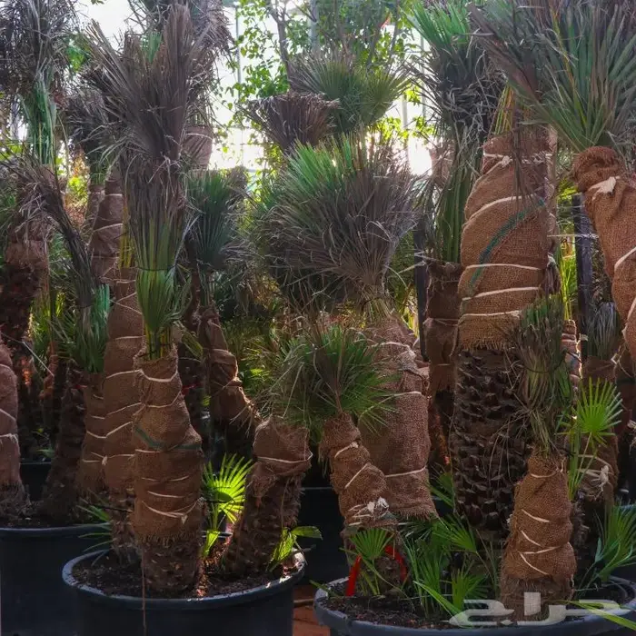 تصوير منتجات وتصوير فوتوغرافي احترافي 90