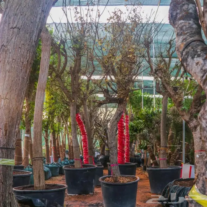 تصوير منتجات وتصوير فوتوغرافي احترافي 96