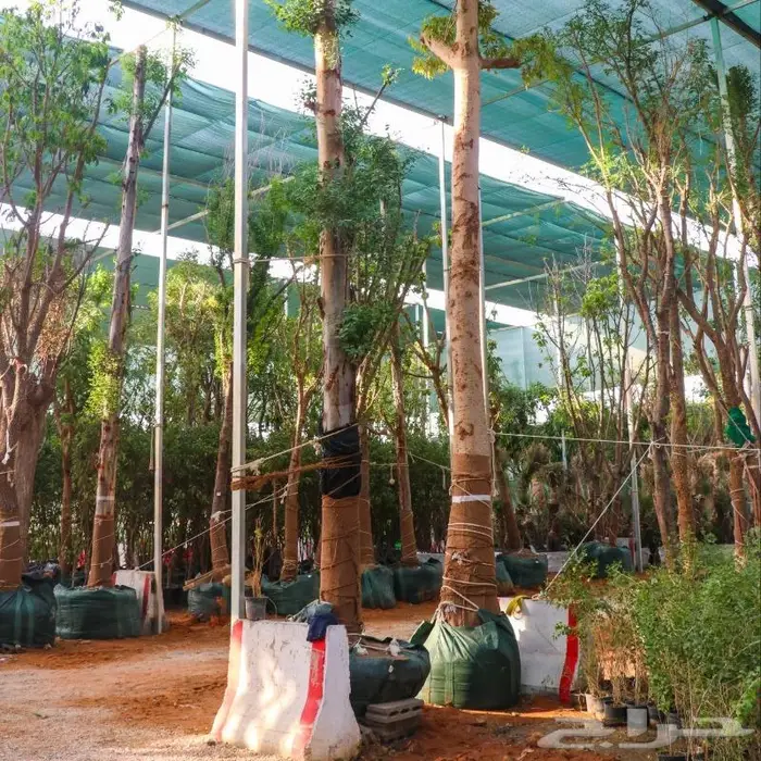 تصوير منتجات وتصوير فوتوغرافي احترافي 97