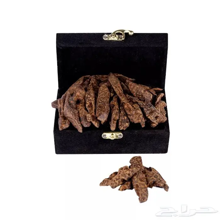 تصوير منتجات وتصوير فوتوغرافي احترافي 27