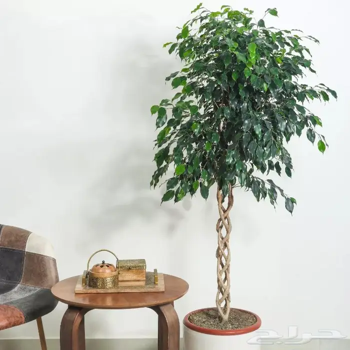 تصوير منتجات وتصوير فوتوغرافي احترافي 71