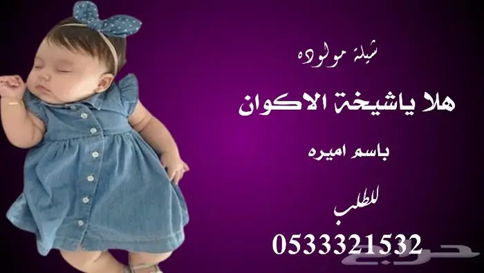 منشد شيلات وشاعر جزل 3