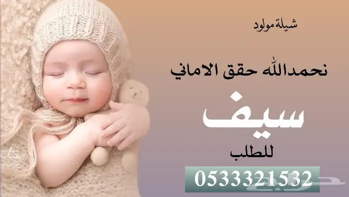منشد شيلات وشاعر جزل 8