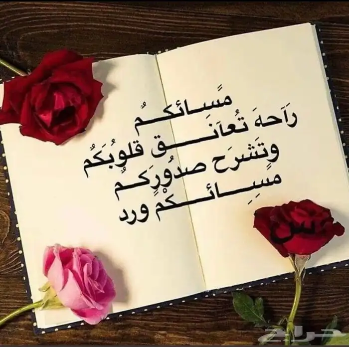 تعليم القياده بوقت قصير 0