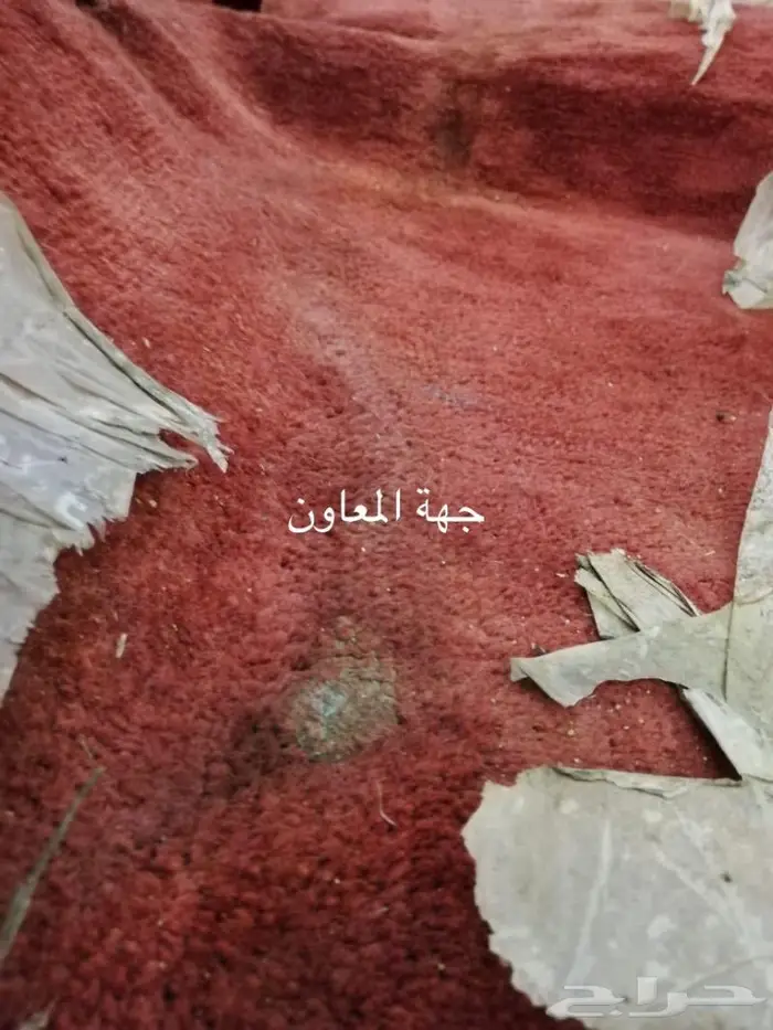 جمس و شفر فرشة ارضية 7