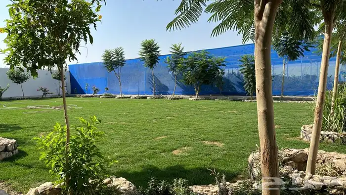 تركيب إنجيلة وزراعة اشجار مثمرة وزينه 1