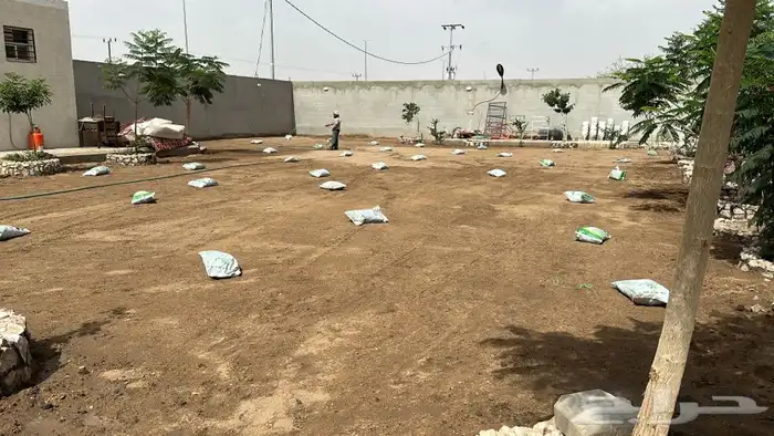 تركيب إنجيلة وزراعة اشجار مثمرة وزينه 3