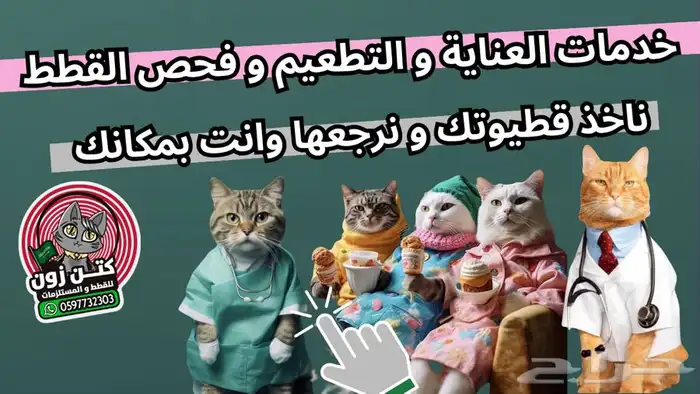 خدمات متنقلة للعناية - الحلاقة - الفحص - التطعيم لقطتك 1