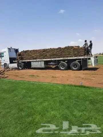 ثيل طبيعي انجيله درجه اولى c2000 5