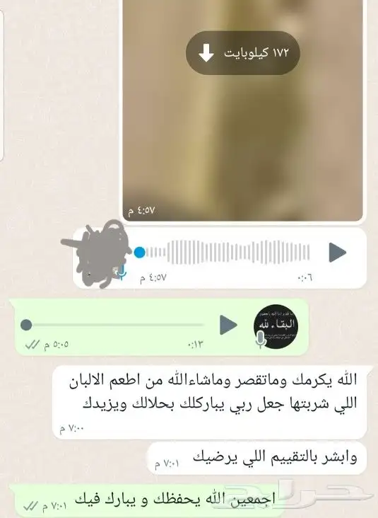 حليب بقر طازج يوميا انظر التقيمات بفضل من الله تعالى 1