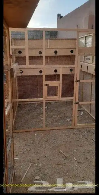 قفص محاكر تفصيل 6