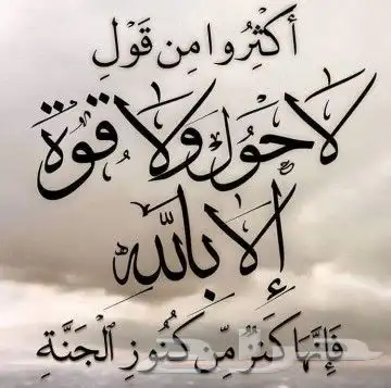 نحل بلدي ومستلزماتة وعسل طبيعي ومشتقاتة و(الإستلام بالمدينة) 1