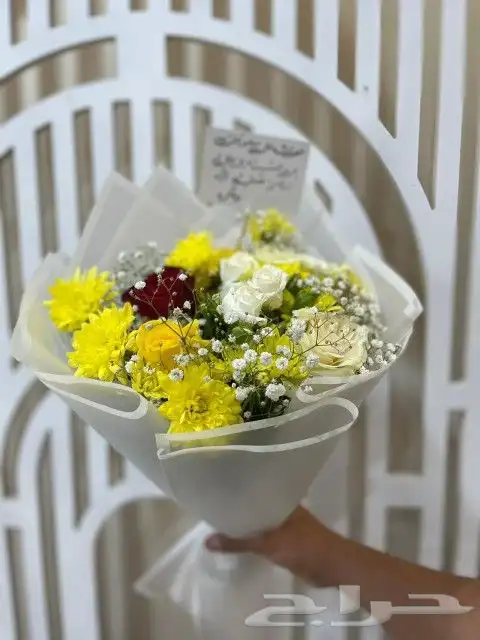 كوشات. خميس مشيط. ابها. الدرب. رجال المع 21