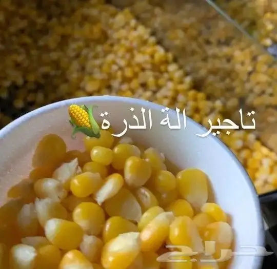 مهرجه لحفلات الاطفال بالشرقيه والرياض 12