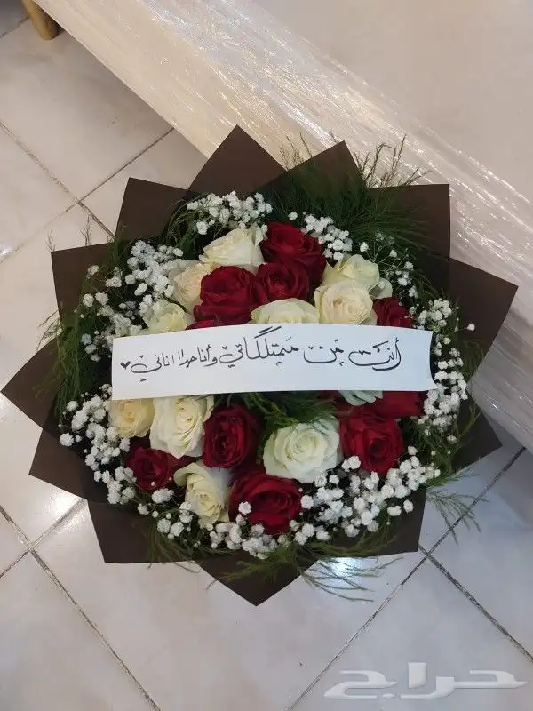 كوشات. خميس مشيط. ابها. الدرب. رجال المع 15