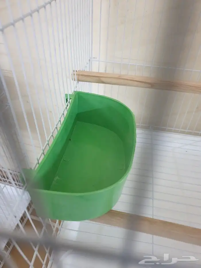 معلف علاقي 5
