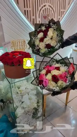كوشات خميس مشيط ابها الدرب. رجال المع 18