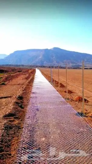 مقاول شبوك 4