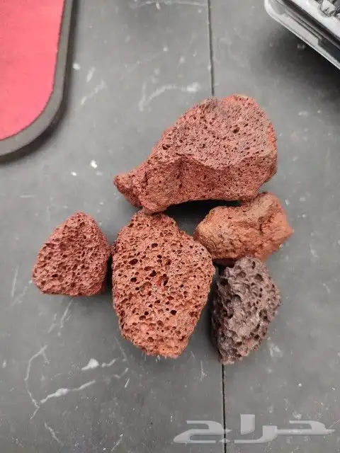 جريل برجر برجايا ماليزي 9