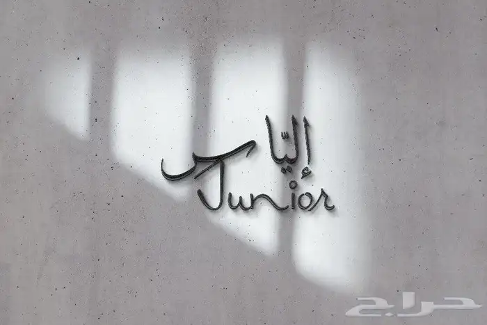 انا مصمم شعارات املك خبرة سنتين اتطيع ان اصمم باللغتين 16