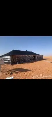 بيت شعر ابيض ألماني خيمه شفاف صندقه خشب تجهيز 18