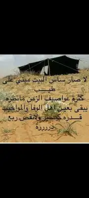 بيت شعر ابيض ألماني خيمه شفاف صندقه خشب تجهيز 10