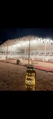 بيت شعر ابيض ألماني خيمه شفاف صندقه خشب تجهيز 20