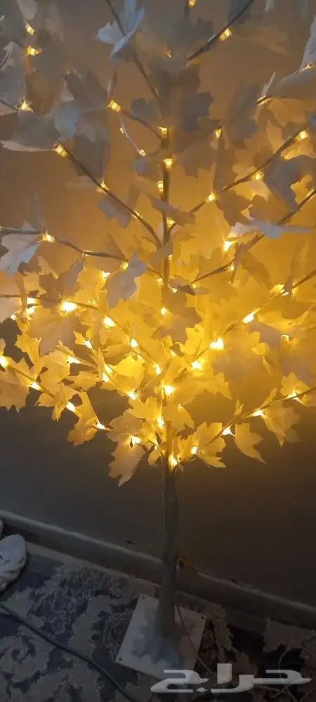 الشوقيه شارع البيك 3