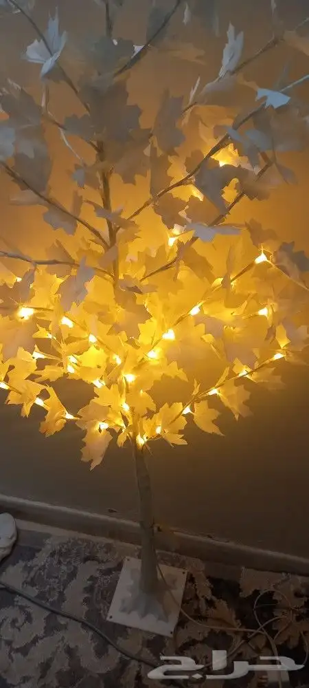 الشوقيه شارع البيك 1