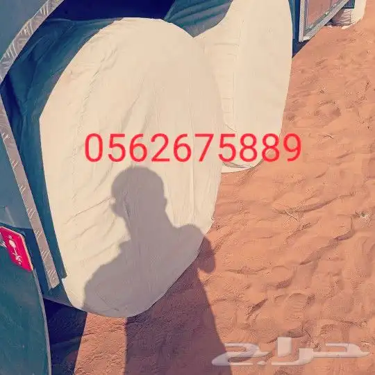 اشرعة تريلات وقلابات 25