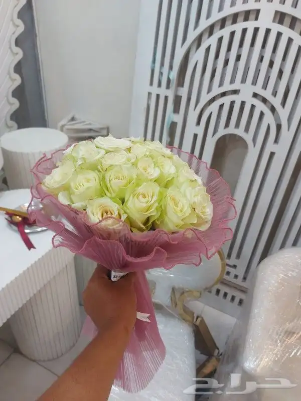 كوشات. خميس مشيط. ابها. الدرب. رجال المع 25
