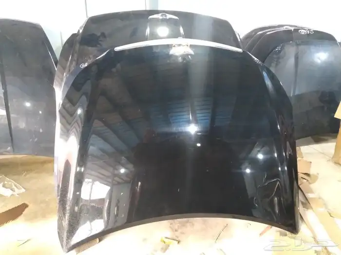 كبوت جنسس 2012-2014 0