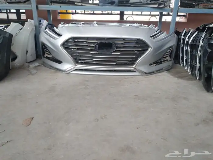 صدام سوناتا 2018-2019 3