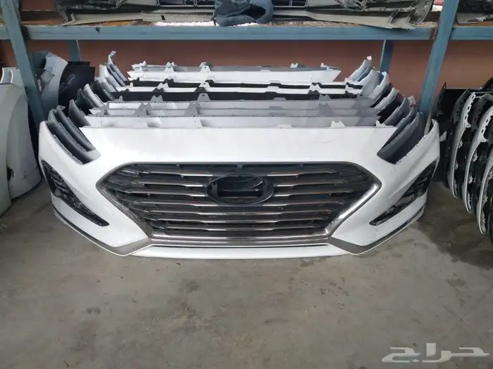 صدام سوناتا 2018-2019 2