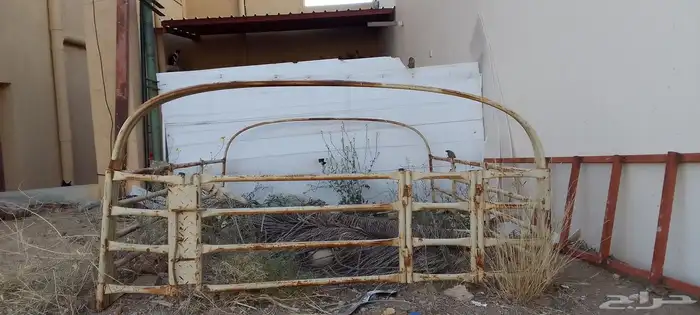 شبك شاص . 1