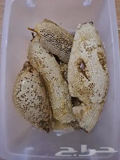 عسل حر طبيعي 100 من جبال الجنوب 10