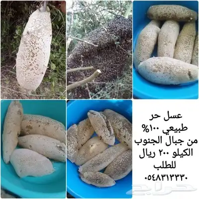 عسل حر طبيعي 100 من جبال الجنوب 8