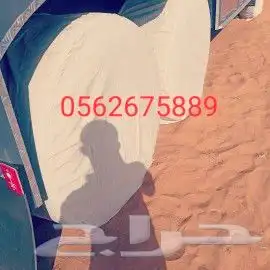 شراع غمائر شراع قلاب شراع تريلا شراع ضد الشمس والماء مطارة 12